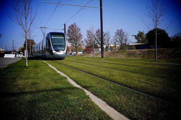 Sol spécial Tramway