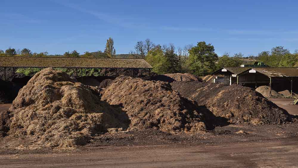 Tas de compost en phase de décomposition